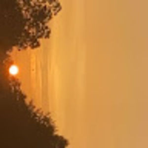 Meet your Posher, Shea